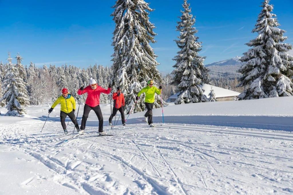 Chaleureux Studio Montagnard Avec Balcon 2303 Prémanon Zewnętrze zdjęcie