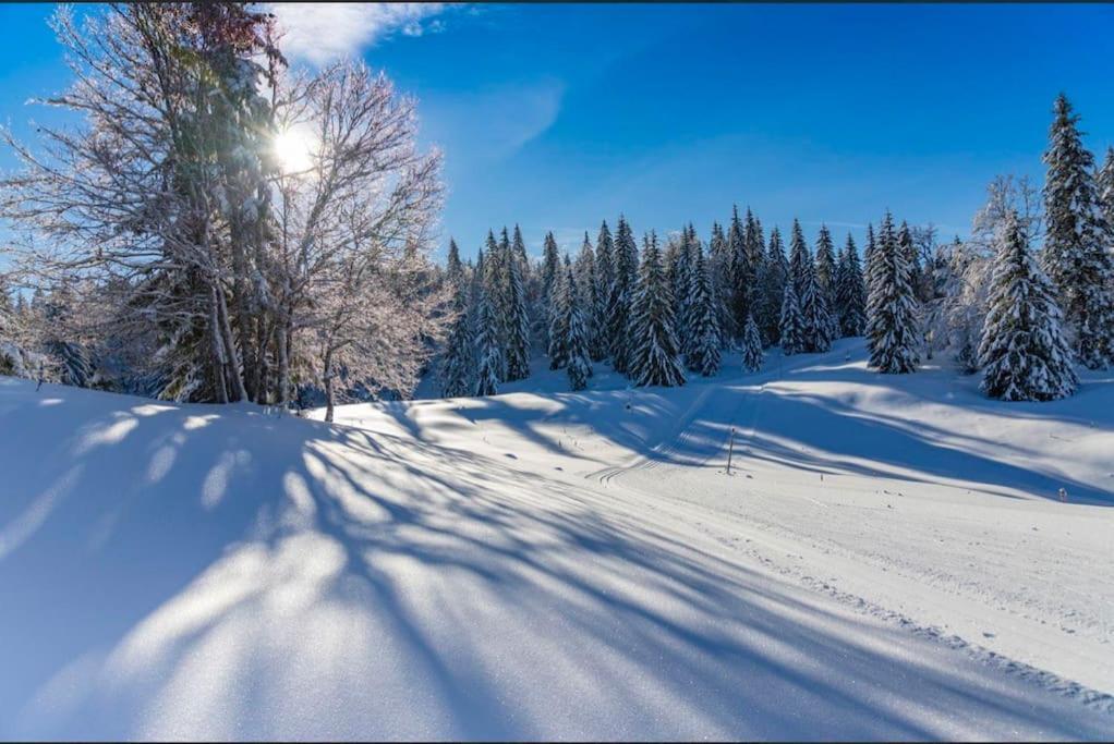 Chaleureux Studio Montagnard Avec Balcon 2303 Prémanon Zewnętrze zdjęcie